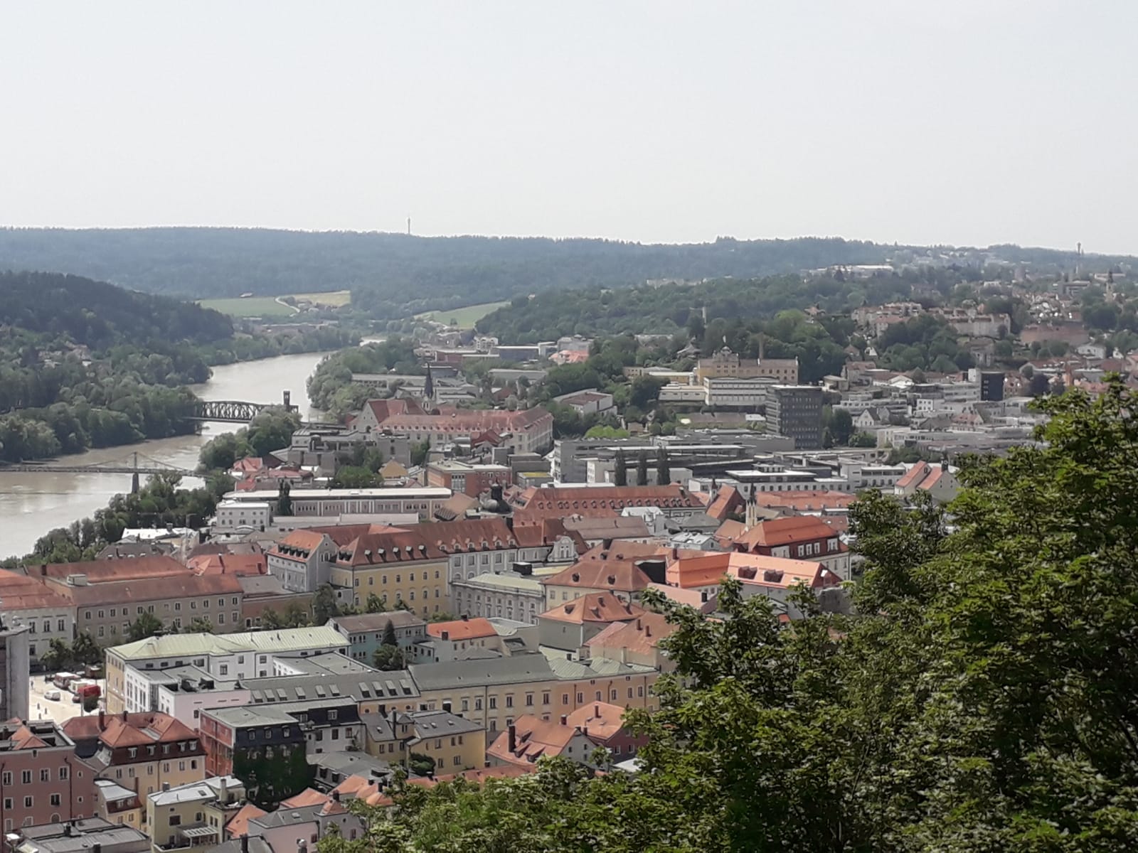 IMG-20190615-WA0011