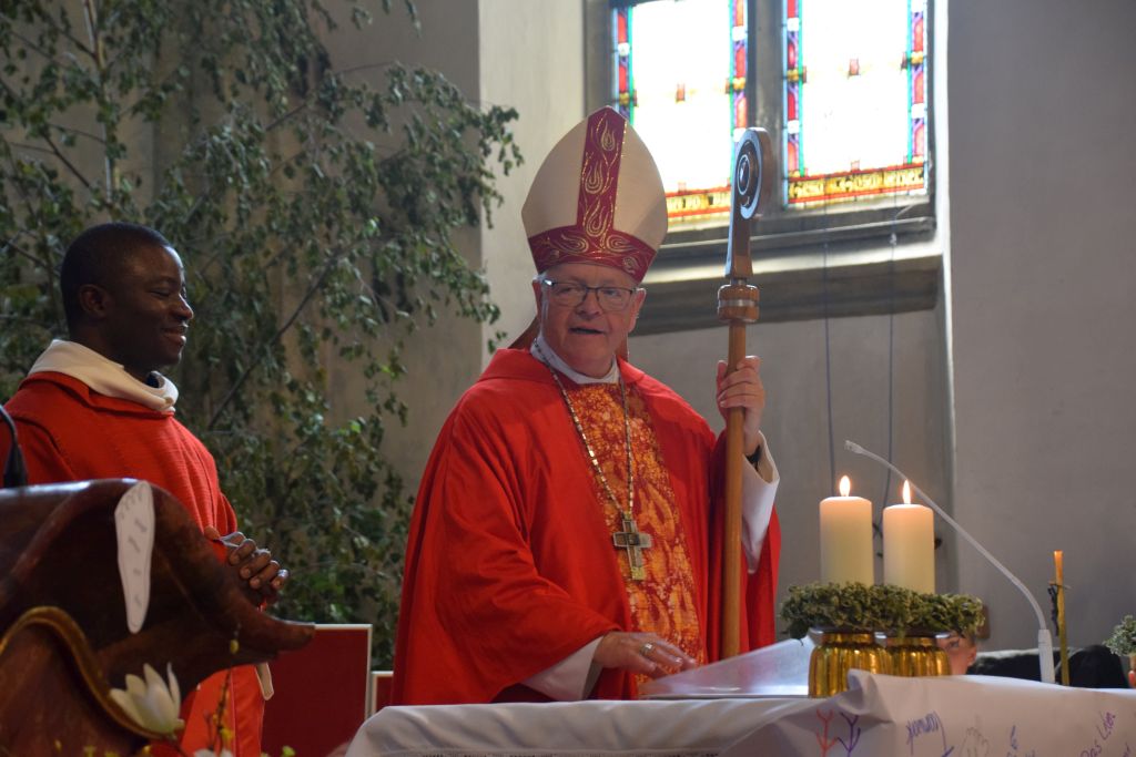 image313