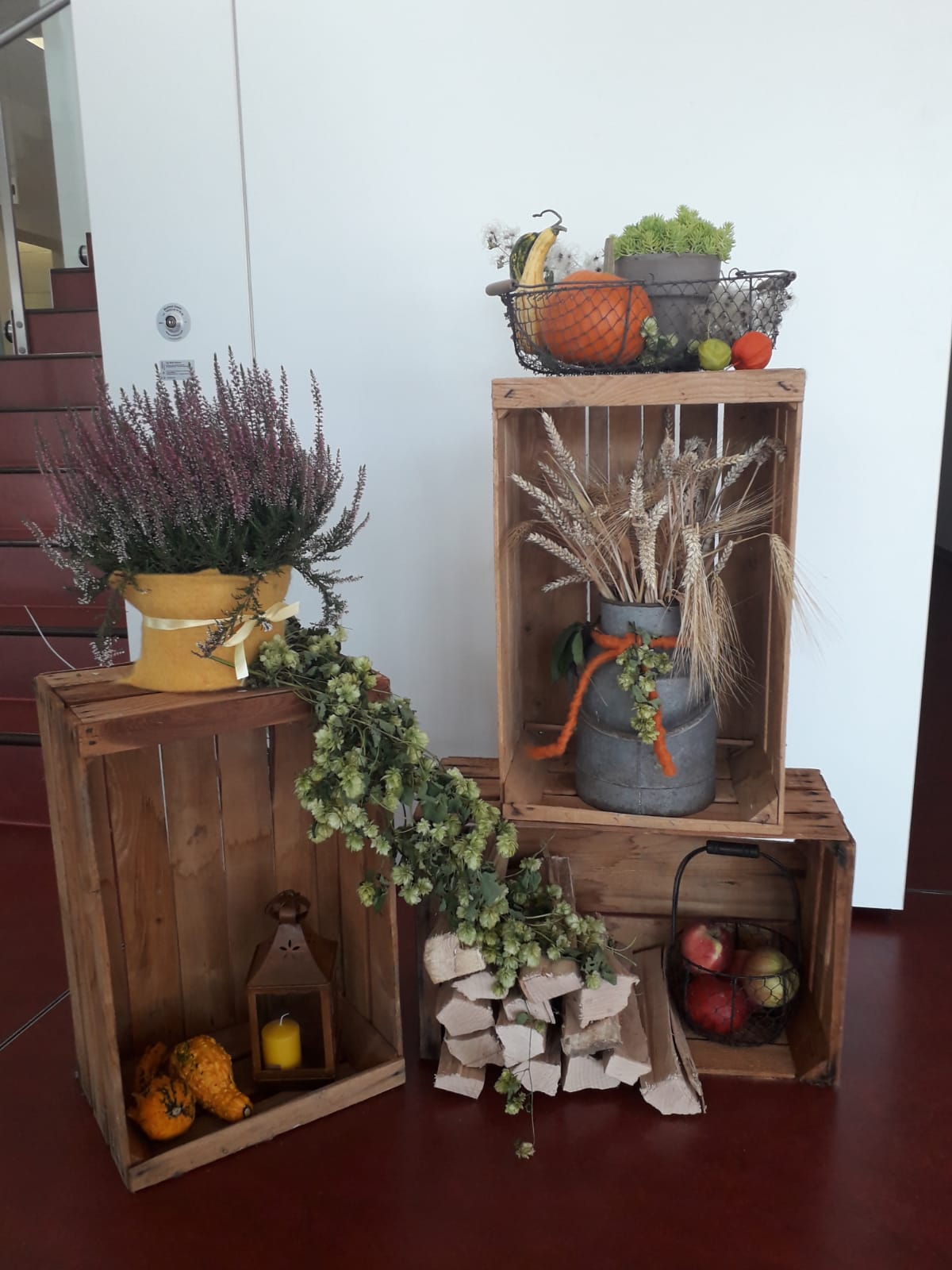 IMG-20190915-WA0002
